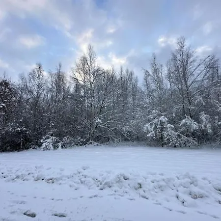 Fienehaus Мешеде